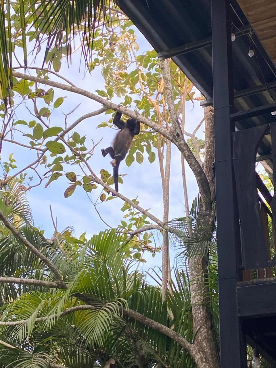 Nahele Lodge Playa Santa Teresa  外观 照片